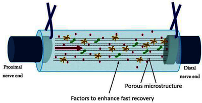 Modeling Fluid-Structure ...
