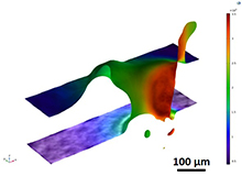 Numerical Simulation of ...