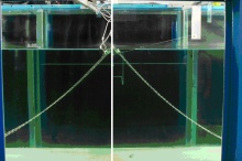 Dynamic Model for Catenary ...