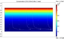 Modeling Bacterial ...