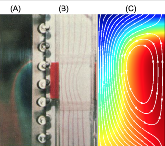 Large-Scale Electrophoretic ...