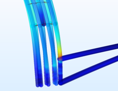 Simulation of Basal Body ...