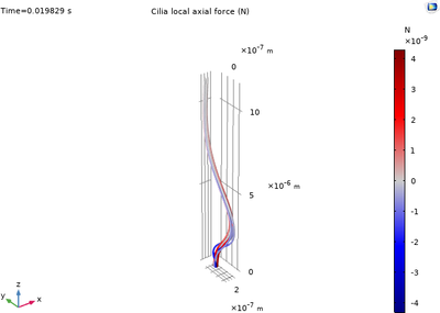 Modeling of 3D Cilium ...