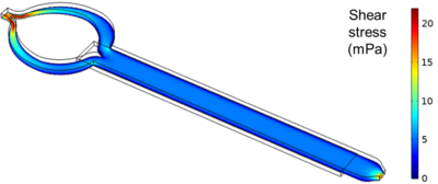 Simulation of Oxygen ...