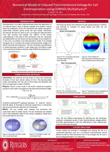 Numerical Model of Induced ...