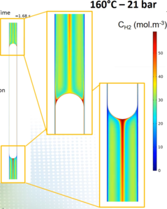 Strong multiphysics ...