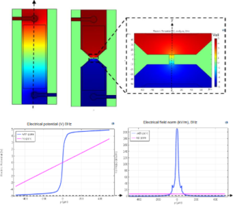 Numerical Simulations for ...