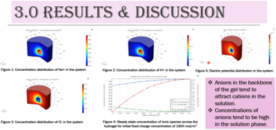 Multiphysics Simulation of ...