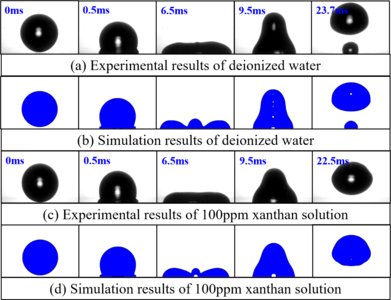 Numerical Simulation of Non ...