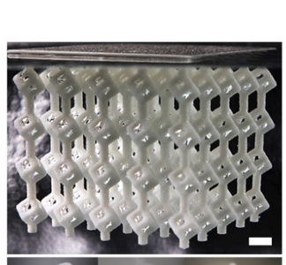 基于气泡结构的水声超材料