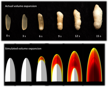 制作美味的膨化食品